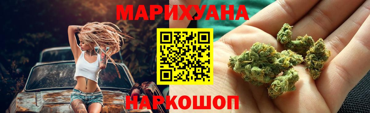 Марихуана сатива Видное